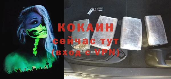 дживик Абаза