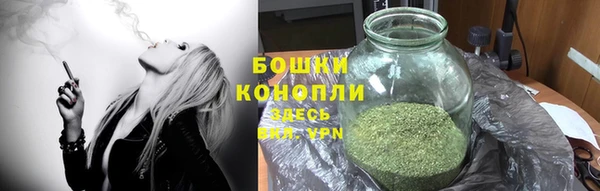 дживик Абаза